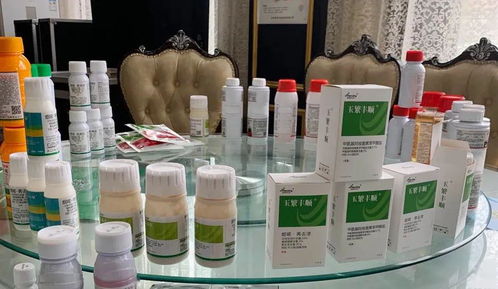 專業(yè)方案,更優(yōu)選擇 河南瀚斯夏季除草劑產(chǎn)品技術(shù)培訓會山東曹縣專場圓滿召開